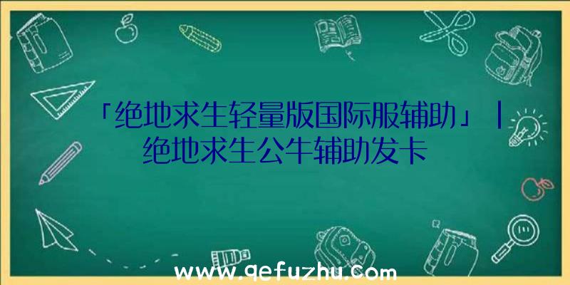 「绝地求生轻量版国际服辅助」|绝地求生公牛辅助发卡